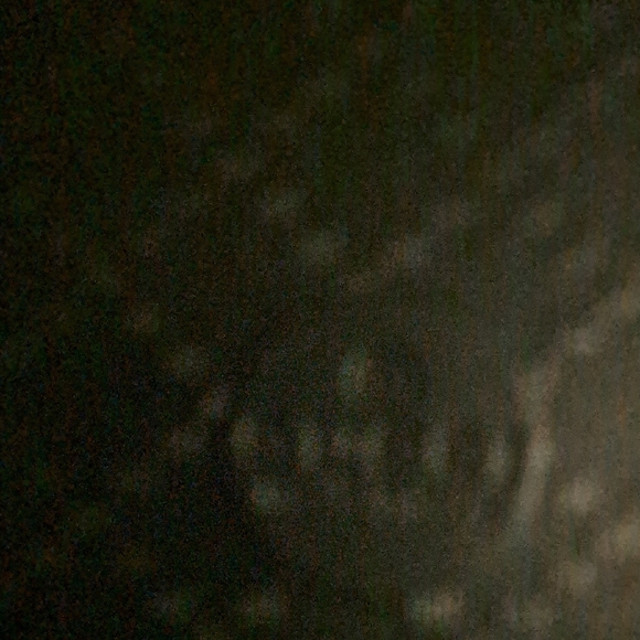 Gucci Black and Brown Bee Sandals - Picture 6 of 11